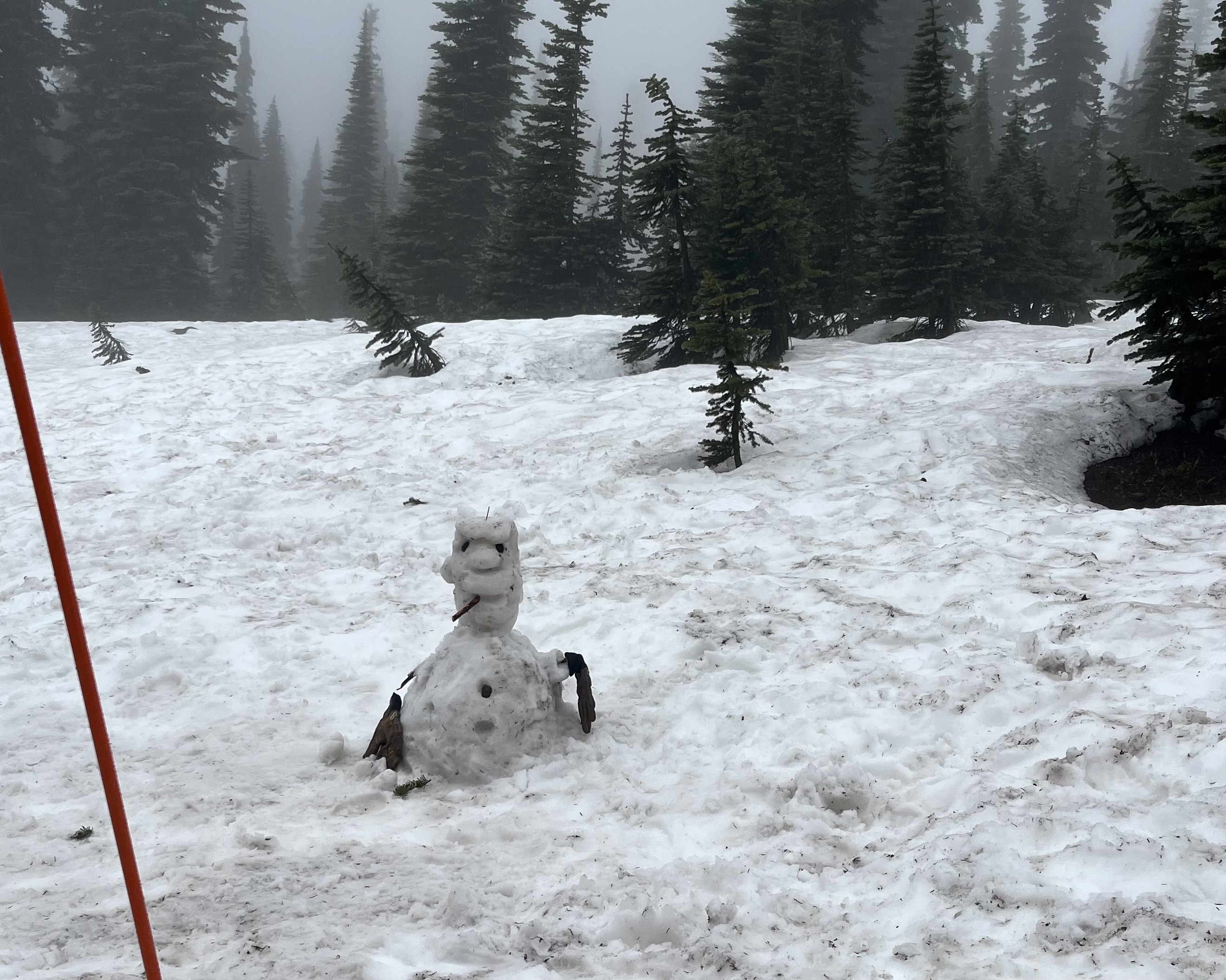 very cool snowman